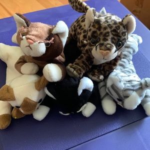 5 TY Cats beanie babies